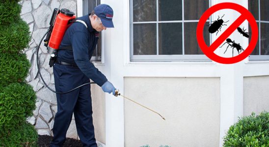 Kulp Dezenfeksiyon böcek ilaçlama ve haşere kontrolü — ilaclama-tr.com